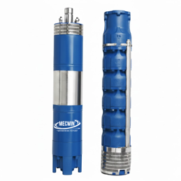 Electric Submersible Pump